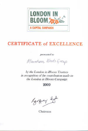 certificate.jpg