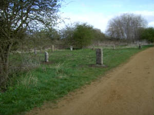 marnham_henge.jpg